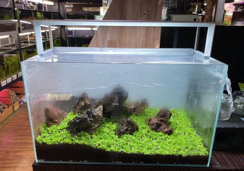 そ*ら様 ADA AQUASKY RGB60 アクアスカイ RGB60 限定色ブ そ*ら様 ADA