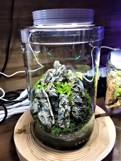 DOOA ガラスポット MARU95 & MARU130 3セット DOOA ガラスポット