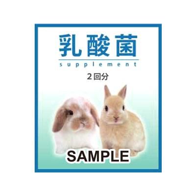 商品検索 - うさぎ星 - 大阪のうさぎ専門店