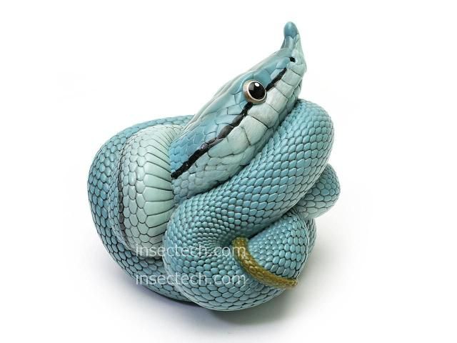 動物の惑星】「シークレット」バロンコダマヘビ（ブルー）フィギュア