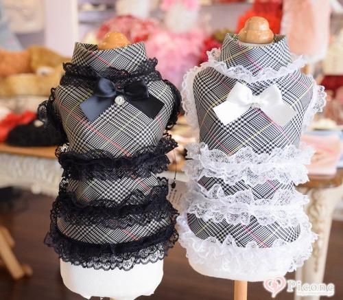 accumilia［アキュミリア］ - ドッググッズ 通販/販売 プードルごはん