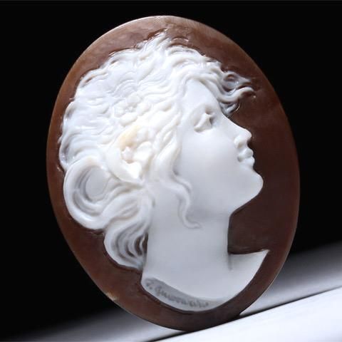 アントニオ・クリスピーノ】シェル ルース