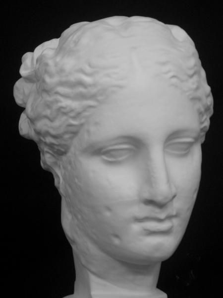 S-204 古代ヴィーナス首像（アバタのヴィーナス） - 日本で唯一の石膏