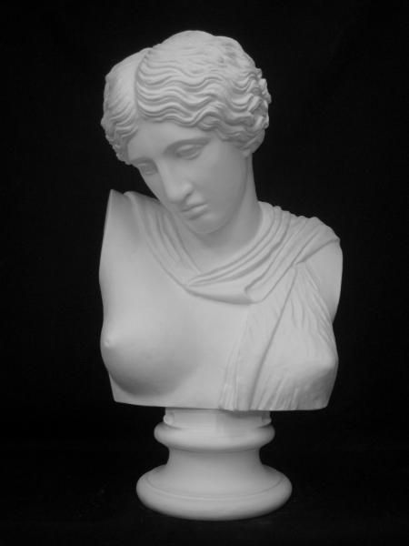 K-131 ギリシャ婦人胸像（傷つけるアマゾン） - 日本で唯一の石膏像