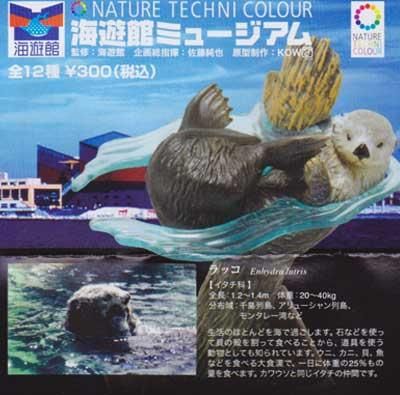 海遊館ミュージアム フィギュア まとめ売り ネイチャーテクニカラー