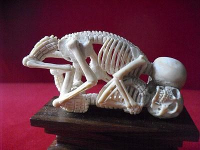 鹿の角 彫刻置物 No.8 - 頭骨・骨格標本・剥製販売 【Core-Box】