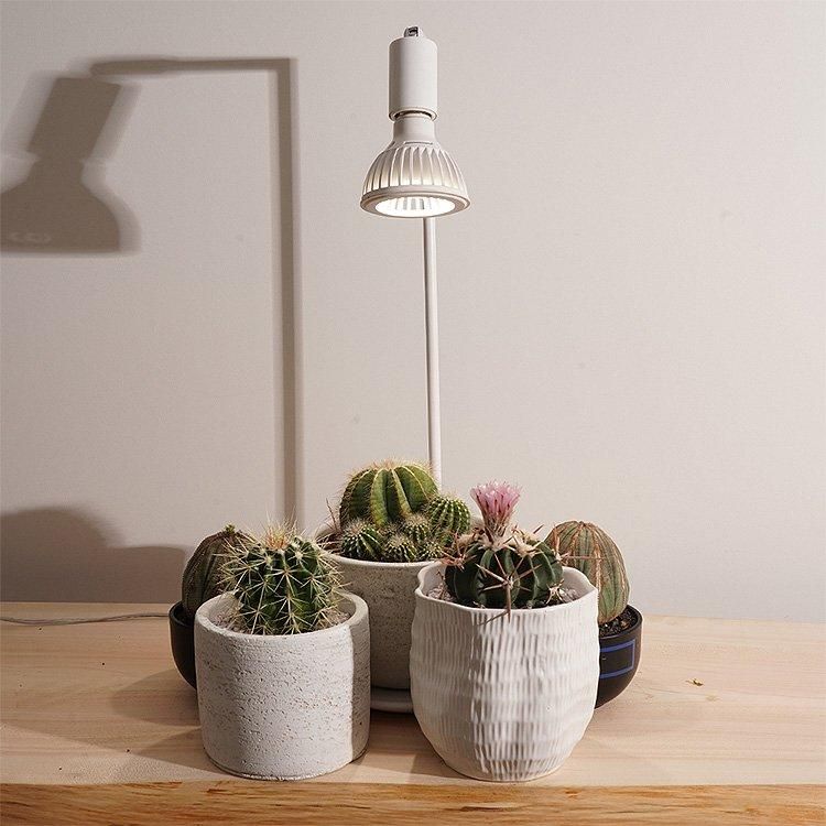 TSUKUYOMI kumanomi 360 植物育成ライト 極美品 TSUKUYOMI LED植物育成