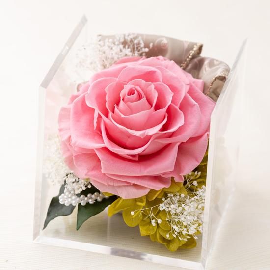 レア‼️ カメリア ローズキティ ペンケース ラメピンク 3段タイプ レア