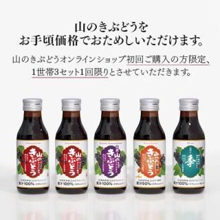 新規お客様限定】山のきぶどうおためしセット - 山のきぶどう