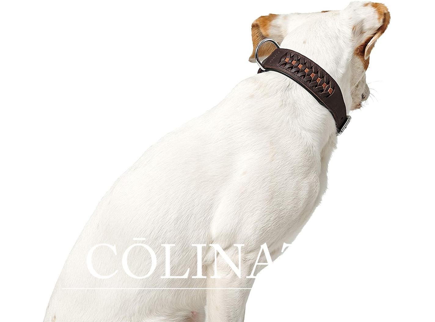 中型犬・大型犬・超大型犬用 首輪 カウレザー 最高級本革