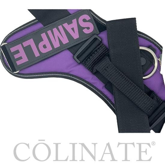 ユリウスケーナイン【反射・蓄光カスタムラベル（ネームタグ）1枚