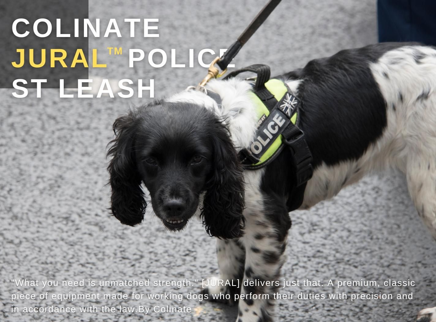 中型犬・大型犬・超大型犬用 リード 高級本革】ジュラル・スタンダード