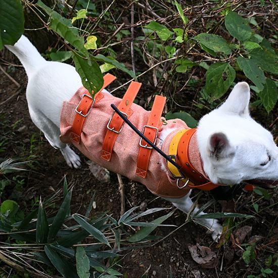 Spectra Vest Hunter Orange 猟犬用耐切創ドッグベスト スペクトラ
