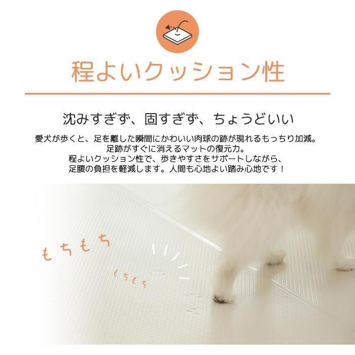 dfang ディパン ペットプレイマット【幅70cm 厚み5mm 折りたたみタイプ