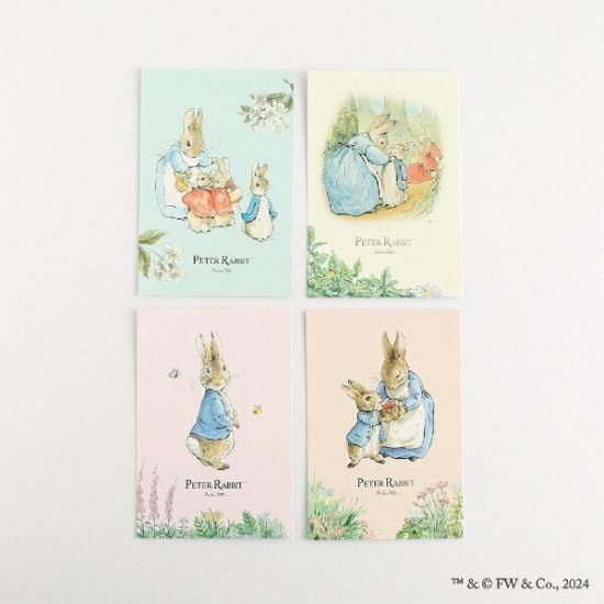 ピーターラビット ポストカード（いたずらっ子） 文具 日本製