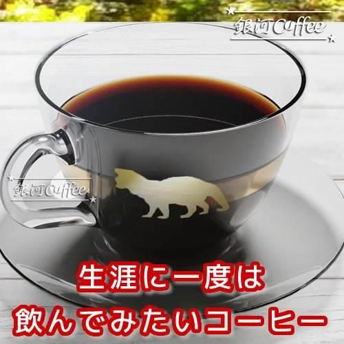 コピ・ルアック ジャコウネコの体内で発酵 オーガニック 銀河コーヒー