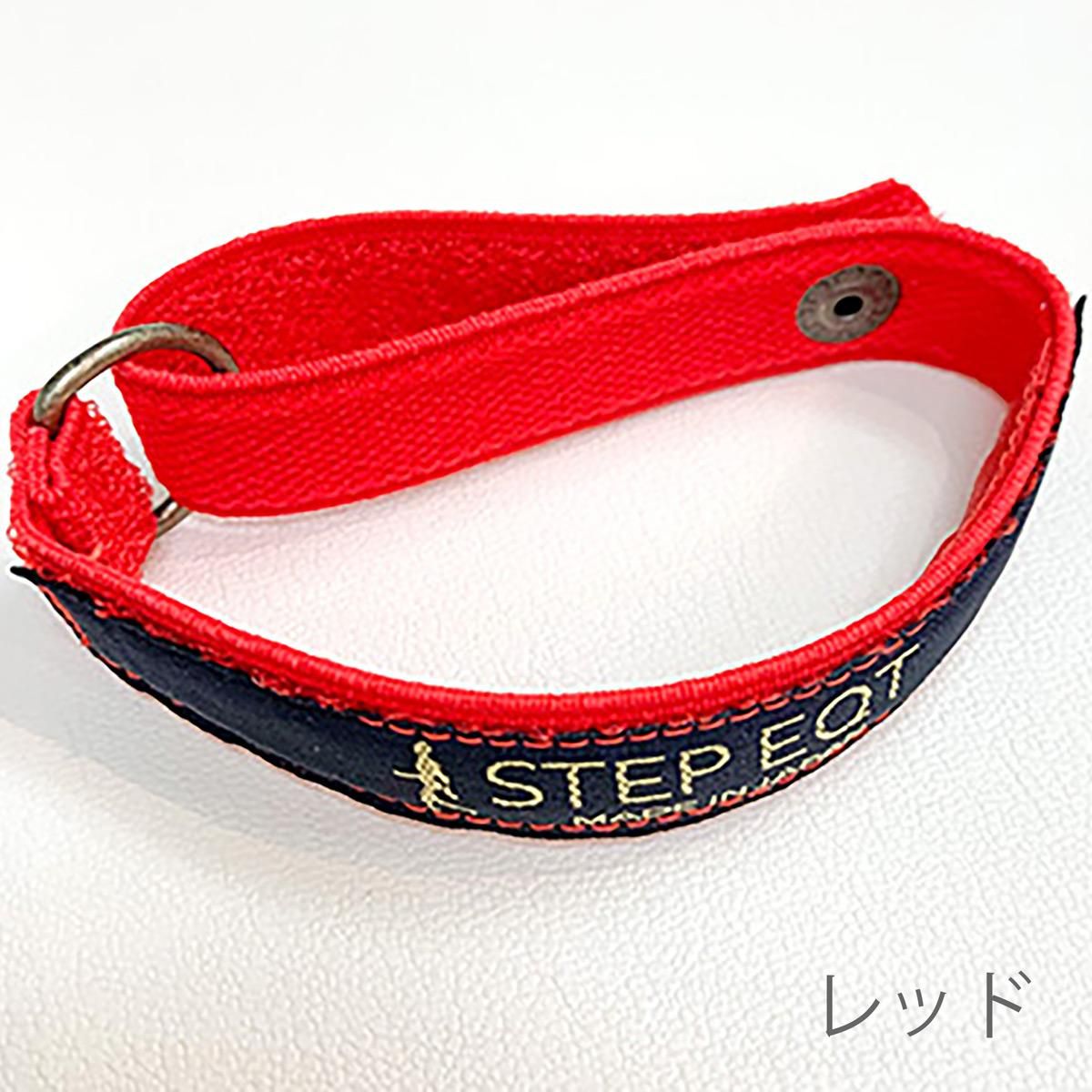 STEP EQT PROアンクルバンド2個セット レギュラーサイズ 歩けるくん