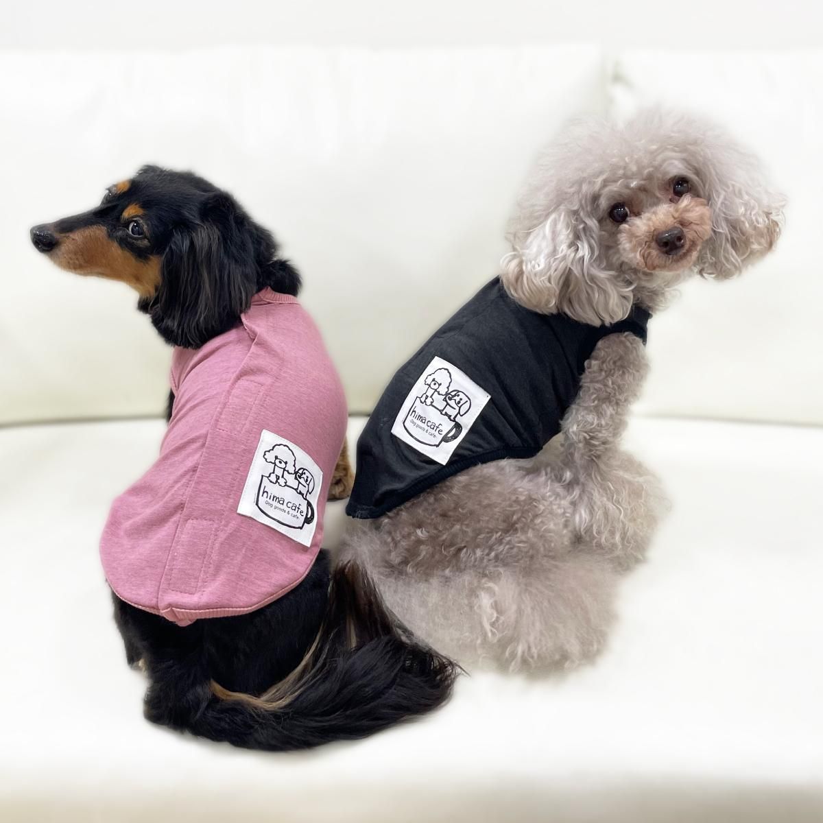 テラヘルツ 背中開きタンクトップ／ひまカフェオリジナル｜わん子ん家