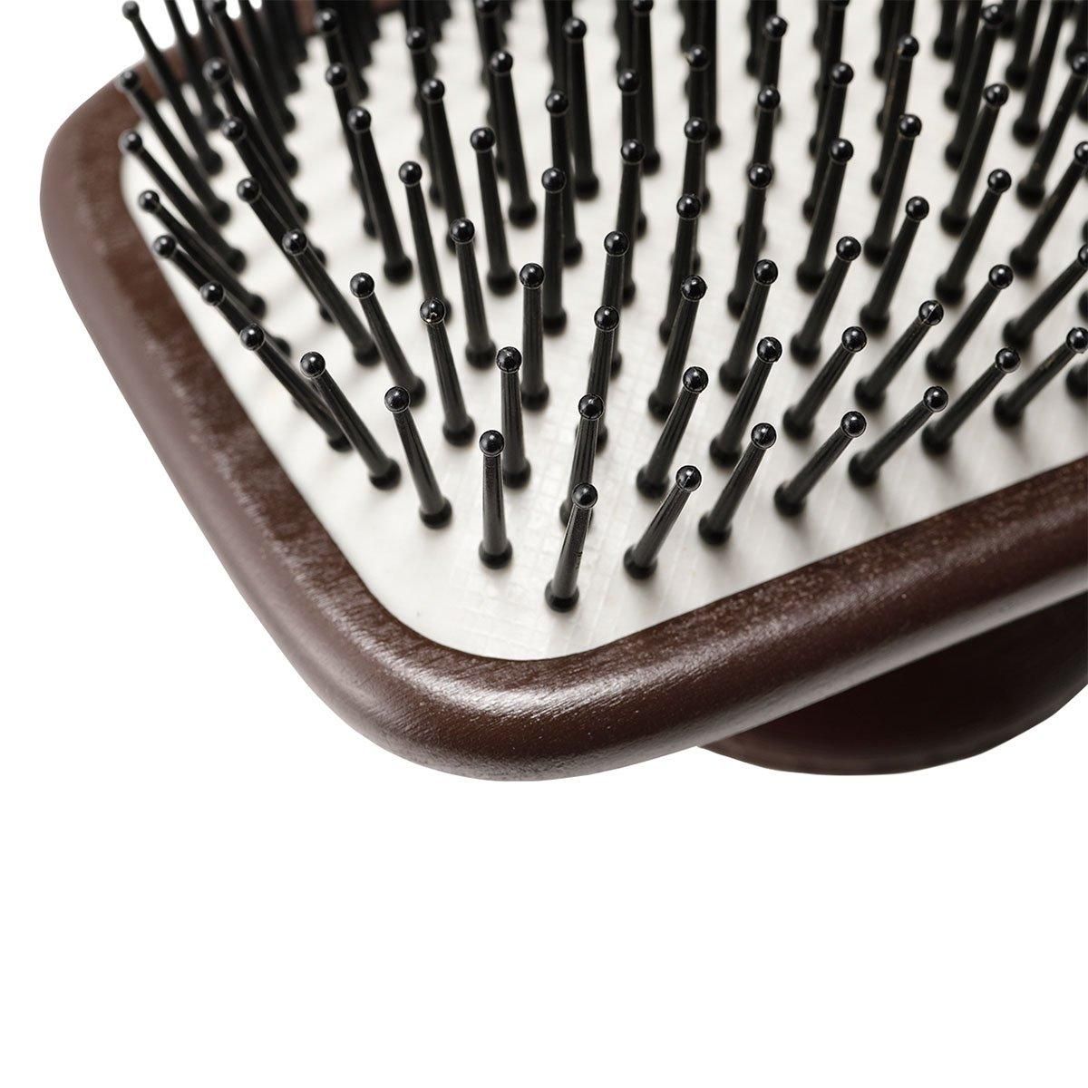 冬の大感謝祭】復元ブラシPET（復元ブラシ×1＋炭酸泡ドライシャンプー