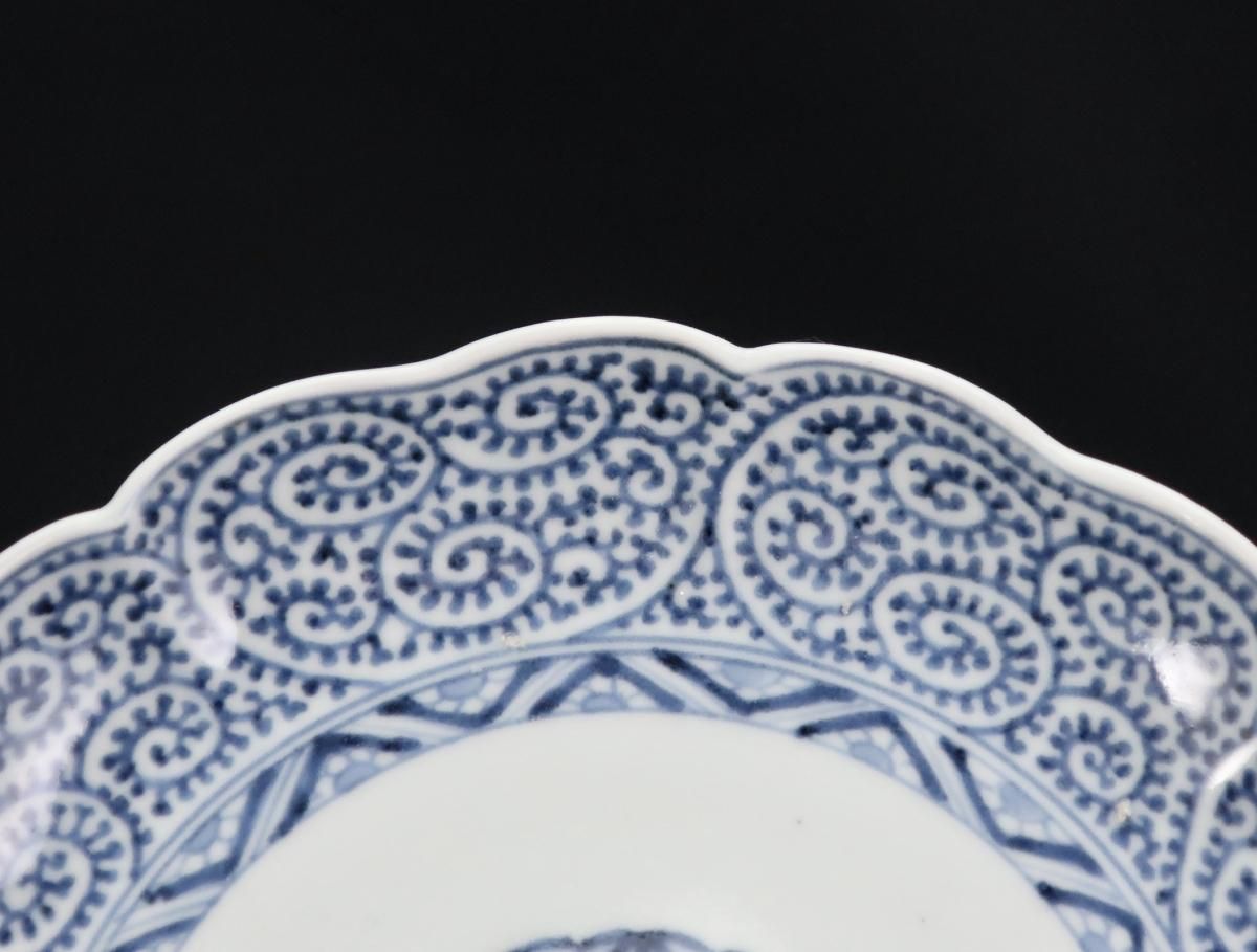 伊万里染付蛸唐草文七寸皿 五枚組 / Imari Blue & White Plates with
