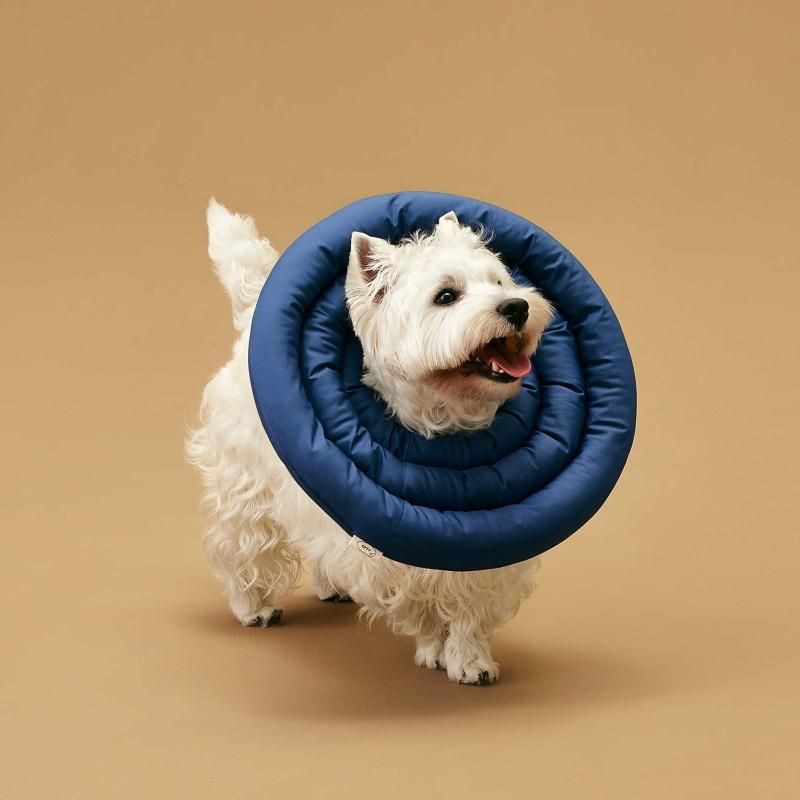 UFOネックカラーV2 - ペット用品通販サイトノーランロス｜愛犬愛猫用