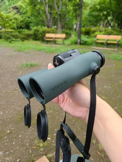 スワロフスキー新製品 NL PURE試用レポート～探鳥試用編 - 銀座双眼堂