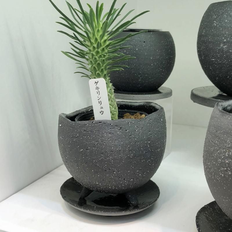 中国 白磁 献上脚付皿 足付鉢 旧家蔵出 中国 白磁 献上脚付皿 足付鉢