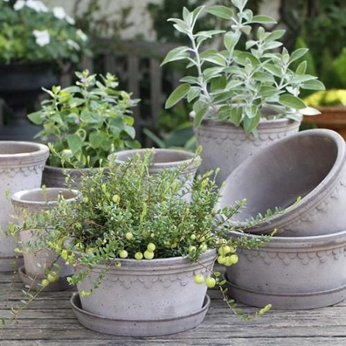 商品検索 - GARDENS ONLINESHOP | ガーデンズ | 香川県高松市