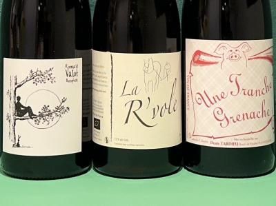 早い者勝ち 9本セット ダニエルサージュ カーゼコリーニ 自然派ワイン