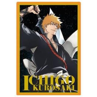 BLEACH ウエハース2 [18.卯ノ花烈(ビジュアルカード)],バンダイ 食玩 通販