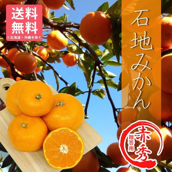 157563209.jpg?cmsp_timestamp=