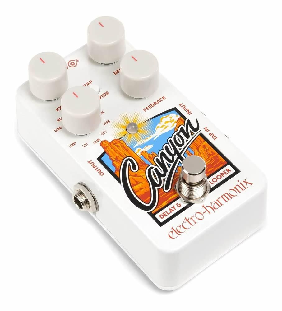 Canyon / ディレイ/ルーパー / Electro-Harmonix（エレクトロ