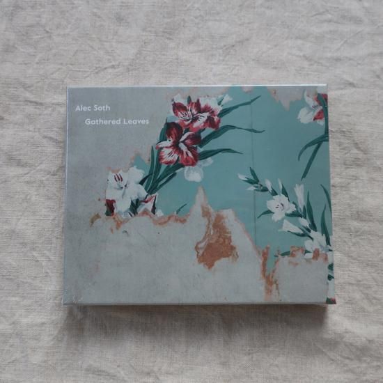 GATHERED LEAVES POSTCARDS by Alec Soth