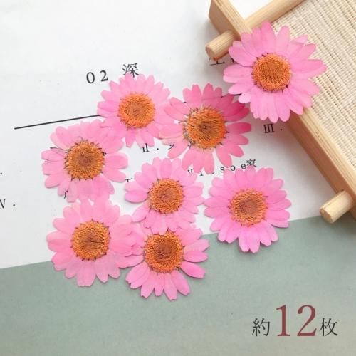 シンガポール 未使用切手 お花 シンガポール 未使用切手 お花