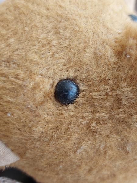 アンティークテディベア - アンティークモール＆蚤の市情報サイト