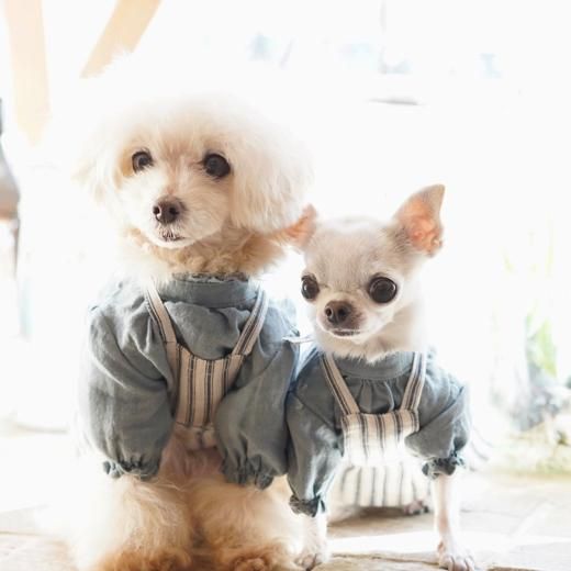 フレンチギャザーブラウス(AG) - 「ブルーブルーブルー blue bleu