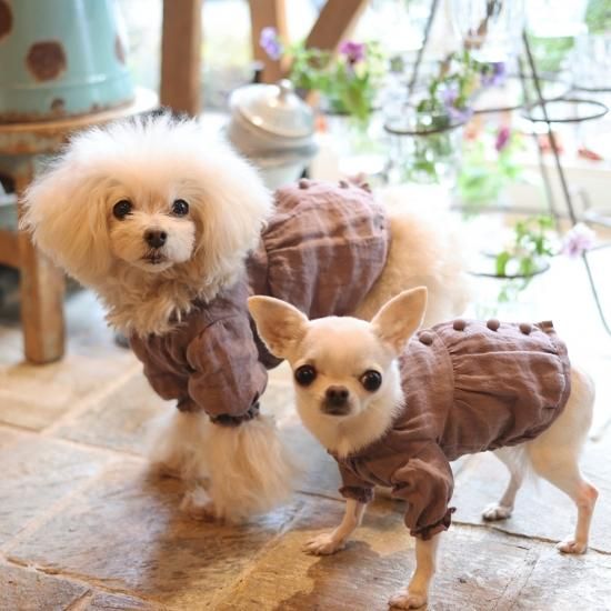 フレンチギャザーブラウス(MO) - 「ブルーブルーブルー blue bleu