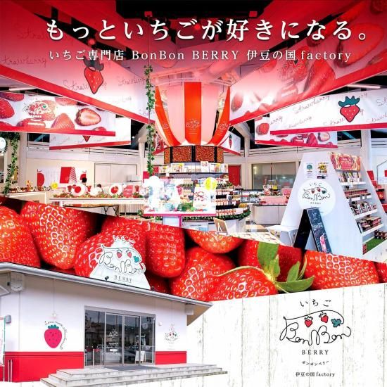 フルーツチョコレート | ストロベリールージュ - 【公式通販】伊豆・村