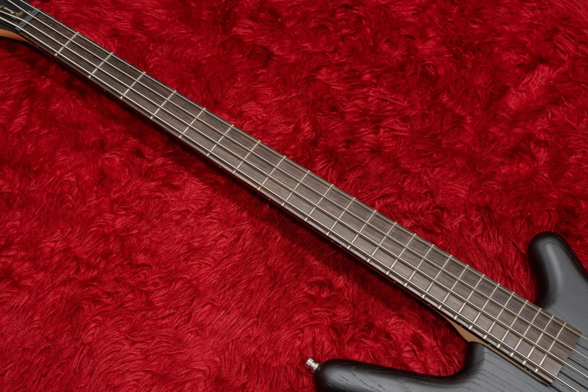 Vaccaro V2 X RAY 4弦ベース Vaccaro V2 XRAY Black (05/19) | Reverb