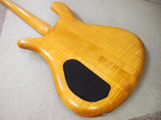 Warwick Streamer Stage 1 - Geek IN Box