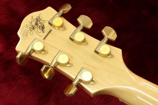 Fernandes MG-120X Hide - Geek IN Box