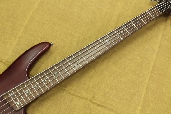 Ibanez SR505 - Geek IN Box