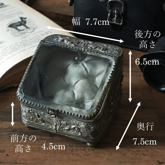 アンティークジュエリーボックス | フランス 懐中時計用ガラスケース