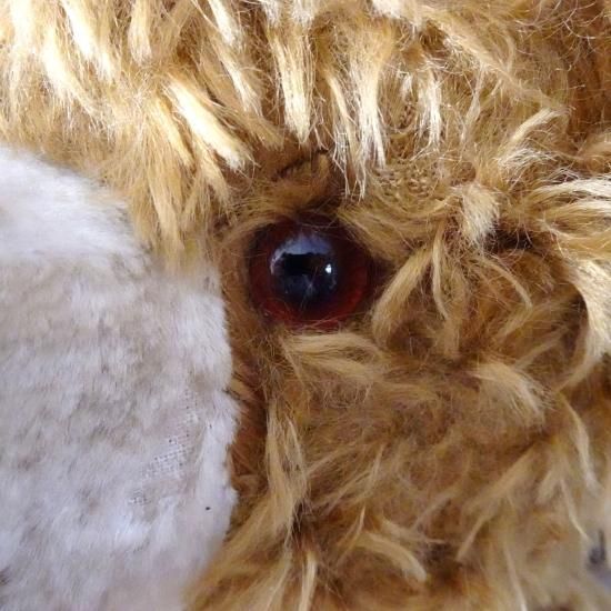 アンティーク テディベア | フランスヴィンテージ キャラメル色の