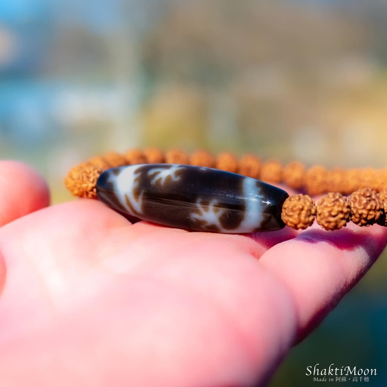 皇帝龍天珠(五爪龍神) 至純高級天珠 ルドラクシャ】ルドラクシャ