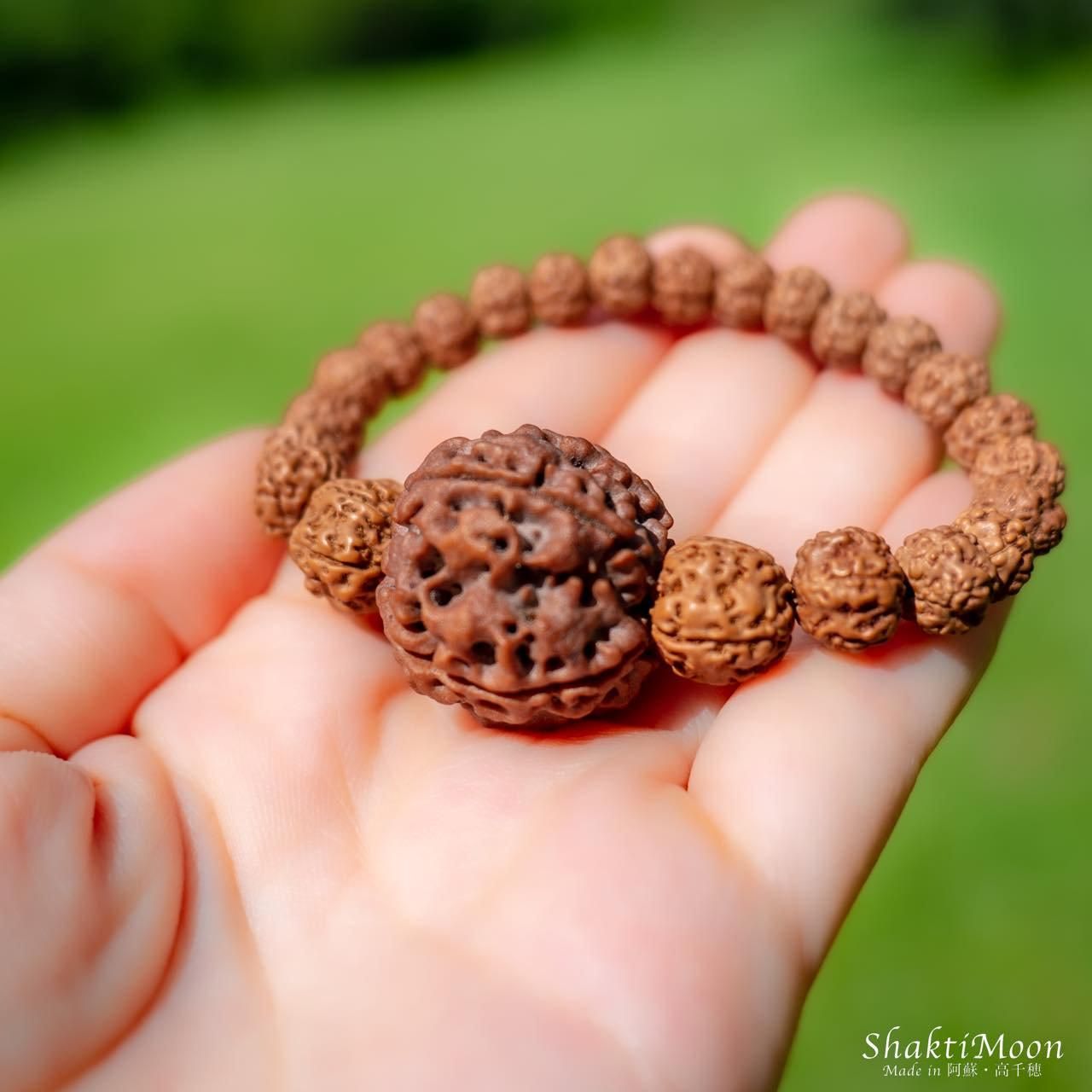 レア・希少！ネパール産・超特大5面（ムキ）×チクナルドラクシャ！心の