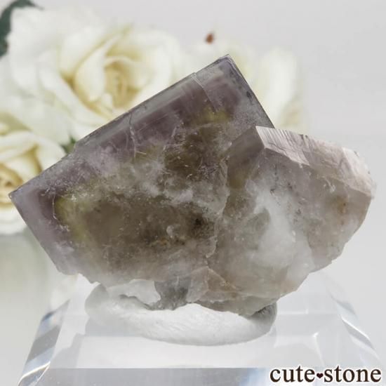 140 UK レディアナベラ Purple Rain Pocket フローライト 140 UK