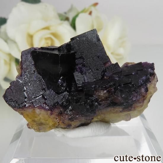 ドイツザクセン2022年閉山10000 Ritter mine フローライト