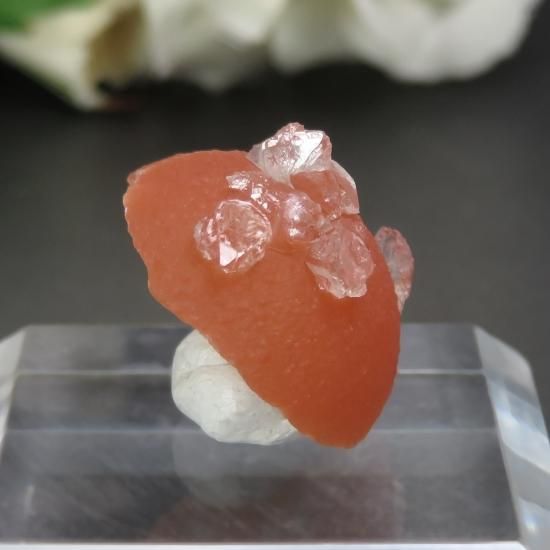 インド産 球体オレンジフローライト＆アポフィライトの原石 No.1