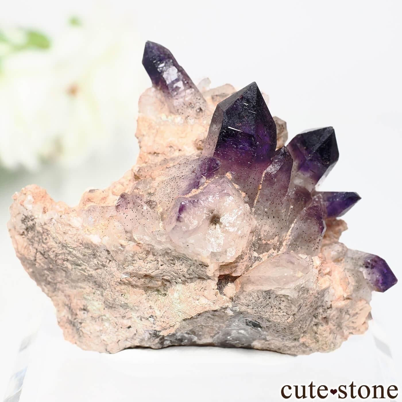 ナミビア ブランドバーグ Goboboseb産 アメジストの原石 No.11 - cute